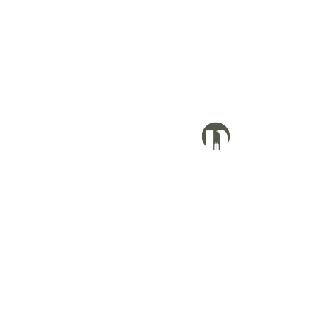 Nowshe Tours logo white – Kerala travel agency and tour operator