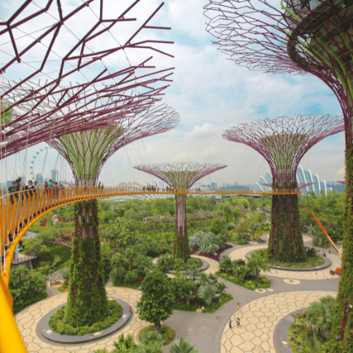 Singapore Gardens by the Bay with Supertree Grove – Singapore tour packages by NowShe Tours